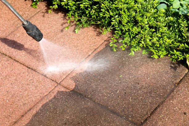 Best Residential Pressure Washing Services  in Choudrant, LA